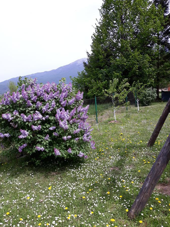 Apartment Gradina Korenica Zewnętrze zdjęcie